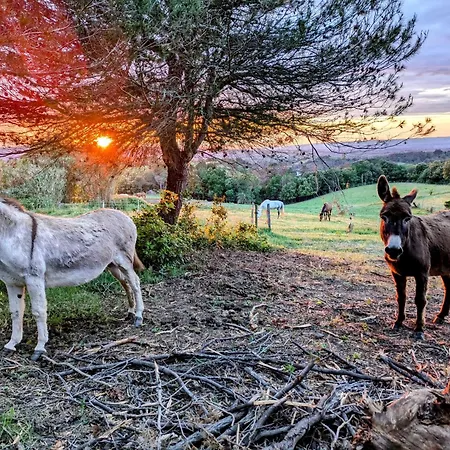 L'ecrin De Pommayrac - Nature, Au Coeur D'un Centre Equestre 別荘 *